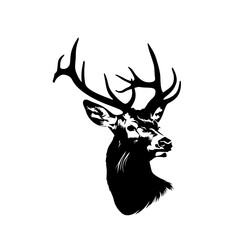 silhouette of deer head Logo Design - obrazy, fototapety, plakaty