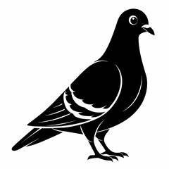 dove of peace vector illustration