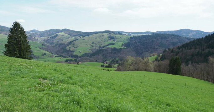 Fr&ouml;hnd im Wiesental. Blick vom Weg des Schwammbrunnens auf die gr&uuml;nen H&uuml;gel des s&uuml;d&ouml;stlichen Fr&ouml;hnd. Holzer Kreuz, Herrenschwand, Schneckenkopf und Gersbach mit seinen Windr&auml;dern
