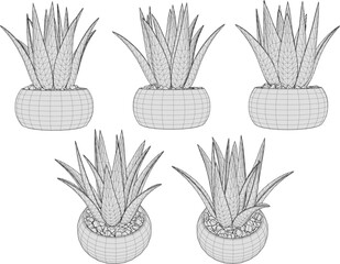 vector design sketch illustration of a beautiful small ornamental plant in a pot for home interior table decoration