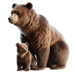 3D render A bear and its cub are sitting together on a white background, 3D render, isolated on a transparent background