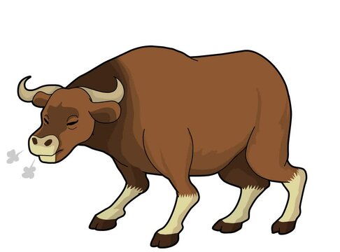 buffalo flat vector style motion 