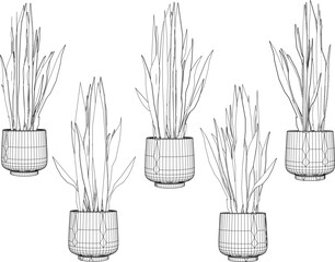 vector design sketch illustration of beautiful ornamental plants in pots for home decoration