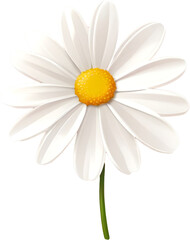 Transparent_background_1_daisy_petal_isolated_in_3D.Generative AI