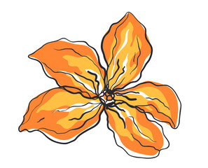 Sketch flower outline art isolated on white background. Vector graphic design illustration