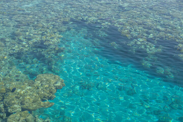 Naklejka na ściany i meble Coral reef clear water. Sea background.