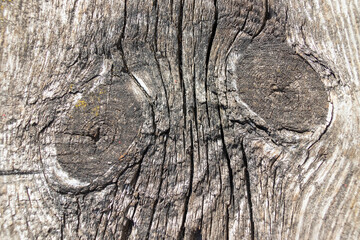 background from the texture of the old grayed wood top view
