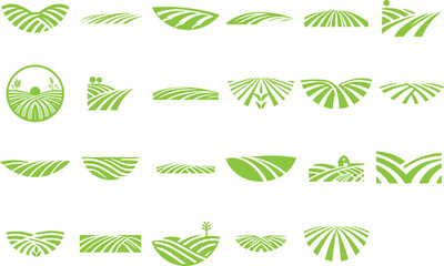 agriculture field 