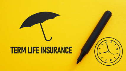 Term life insurance is shown using the text