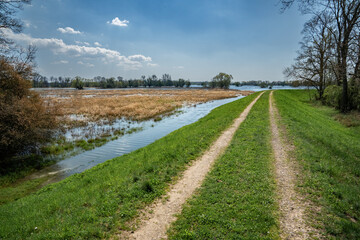Fototapeta na wymiar Feldweg führt in die Tiefe des Bildes, Wasser durch Überschwemmung im Feld bei blauem Himmel