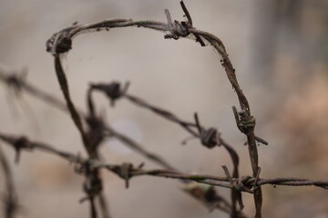 Closeup of barbed wire on fence at Cu Chi, Ho Chi Minh City, Vietnam on march 4, 2024