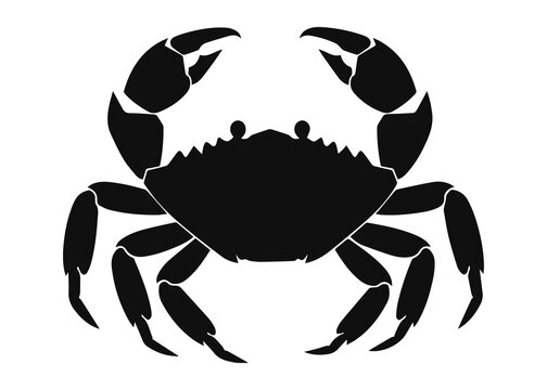 Illustration of a crab