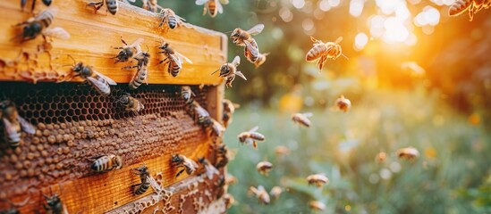 A group of bees buzzing around a wooden beehive, displaying typical hive activity with bees coming and going. - obrazy, fototapety, plakaty