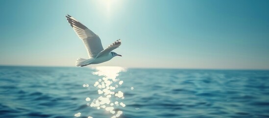 Fototapeta na wymiar A seagull flying gracefully over the sparkling ocean on a sunny day.