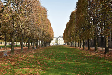 Jardin du Luxembourg en automne à Paris. France