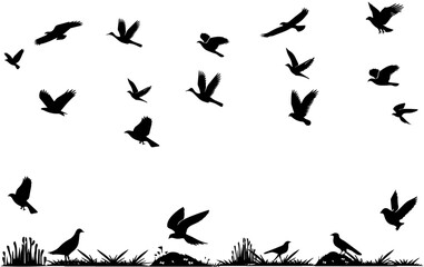 Fototapeta premium silhouette flock of flying birds