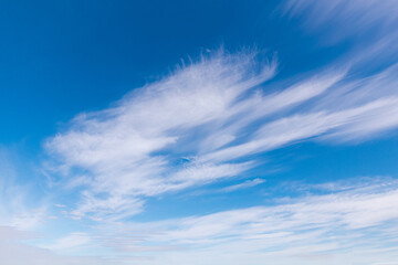 Blue sky with white clouds in the bird shape. - 779082156