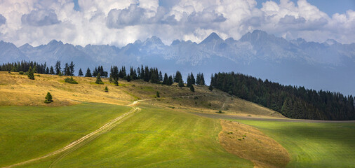 meadows with High Tatras - obrazy, fototapety, plakaty