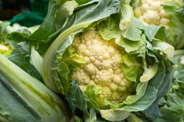 cauliflower close up, natural background