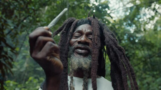 Rasta Man and a Joint Forest