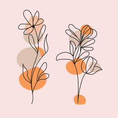 vector flat design of linear leaves and flowers