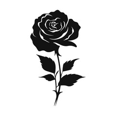 black rose flower vector illustration