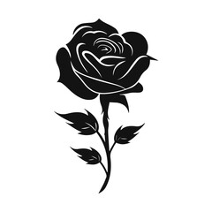 black rose flower vector illustration
