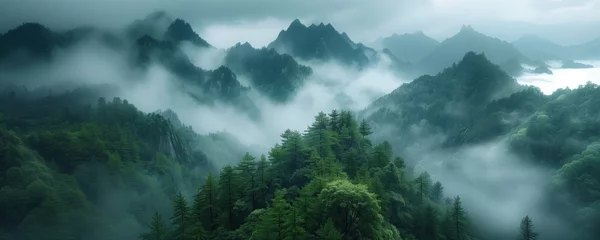 Papier Peint photo Monts Huang Panoramic view of the misty forest in the mountains.