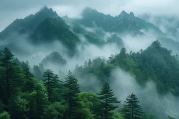 Papier Peint photo autocollant Monts Huang Mount Huangshan in the mist, Huangshan National Park, China