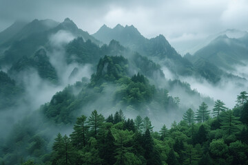 wooded mountain landscape with fog in Huangshan National Park, China - obrazy, fototapety, plakaty