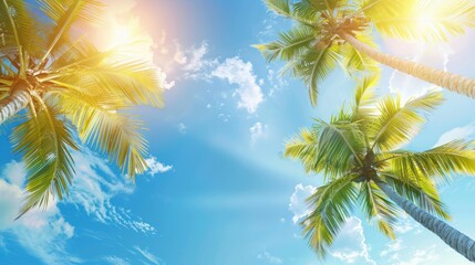 Fototapeta na wymiar Palm trees against blue sky, Palm trees at tropical coast, coconut tree, summer tree. background with copy space