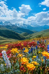 Obraz premium Bright colors, nature, vast grasslands, colorful flower seas, red, yellow, blue, 