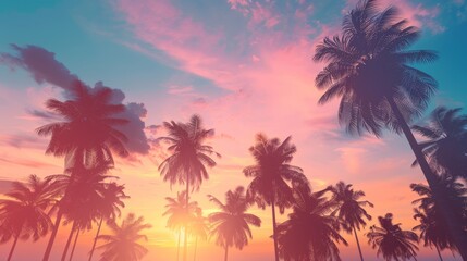 Fototapeta na wymiar Silhouette coconut palm trees on beach at sunset. Vintage tone