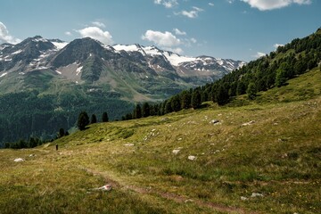 Alpine panorama during the summer in the South Tyrol