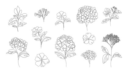 Hydrangea one line drawing. Black contour ink botanical floral elements, elegant flower sketch for wedding invitations and greeting cards. Vector isolated set