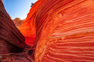 Early morning light on The Wave sandstone formation, Coyote Buttes North, Vermilion Cliffs National...