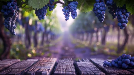 Fotobehang A Serene Vineyard at Dawn © Alena