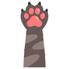 Paw Cat Vector