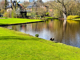 Amstelveen, Netherlands in Spring