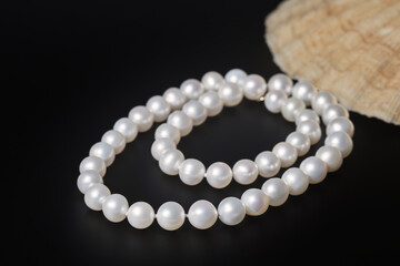 beautiful white pearl beads with seashell on a dark background
