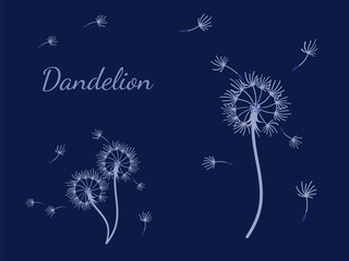 Dandelion_background5-34.eps - 779122542