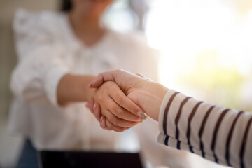 Two professionals engaging in a firm handshake, signifying a successful business agreement or...