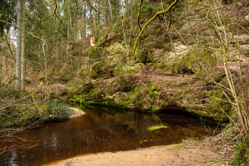 Wild nature trail in the forest at the river Loja in Incukalns in spring in April in Latvia