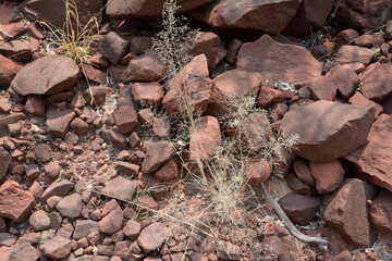 Dry stones on the surface of the desert land. View from above