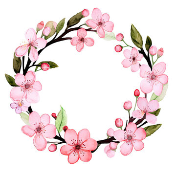 AI-generated watercolor cute pink cherry blossom flowers wreath clip art illustration. Isolated elements on a white background.