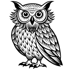 white-owl--on-a-white-background--no-background