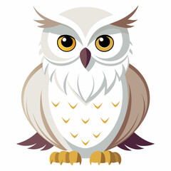 Fototapeta premium white-owl--on-a-white-background--no-background