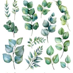 Watercolor illustration of green leaves and branches. Perfect for nature-themed designs