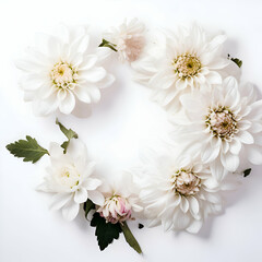 Wreath of white chrysanthemums on a white background