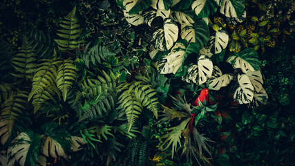 Close up group of background tropical green leaves texture and abstract background. Tropical leaf...